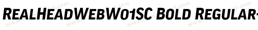 RealHeadWebW01SC Bold Regular字体转换